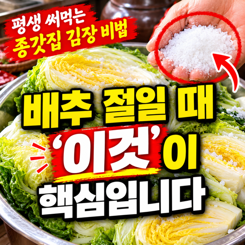 평생 써먹는 종갓집 김장 비법, 배추 절일 때 '이것'이 핵심입니다