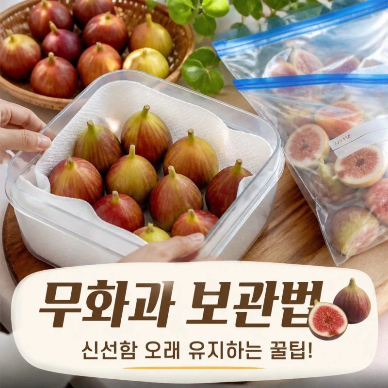 무화과 오래 두고 먹는 보관법