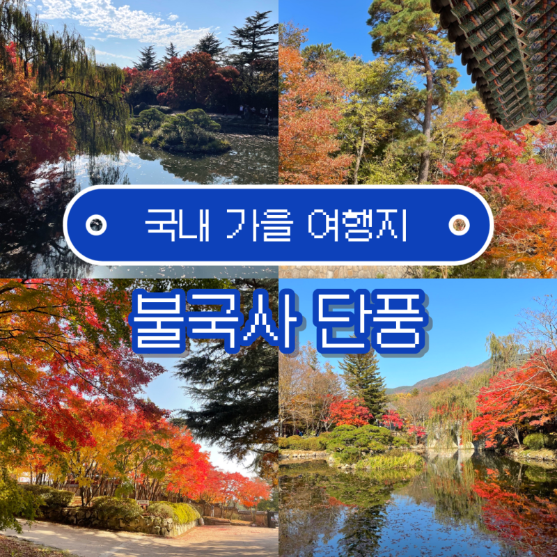 경주 단풍 명소 불국사 국내 가을 여행지 추천