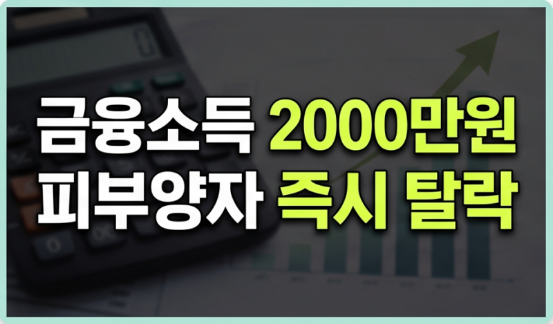 건강보험료 피부양자 자격 상실 기준, 금융소득 2,000만원 초과 시 바뀌는 점