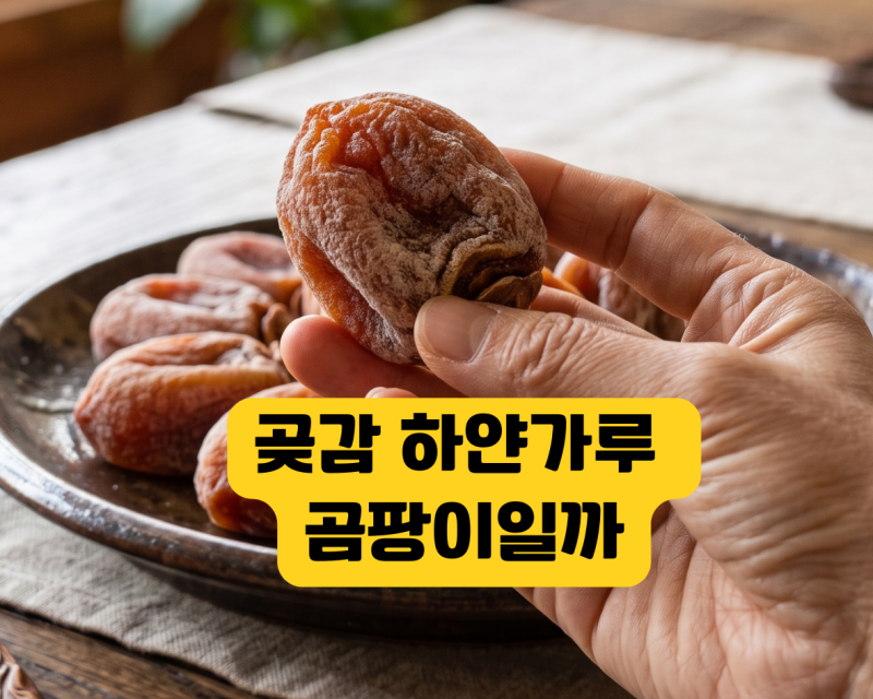곶감 하얀가루 곰팡이일까? 먹어도 되는지와 냉장 냉동 실온 보관법