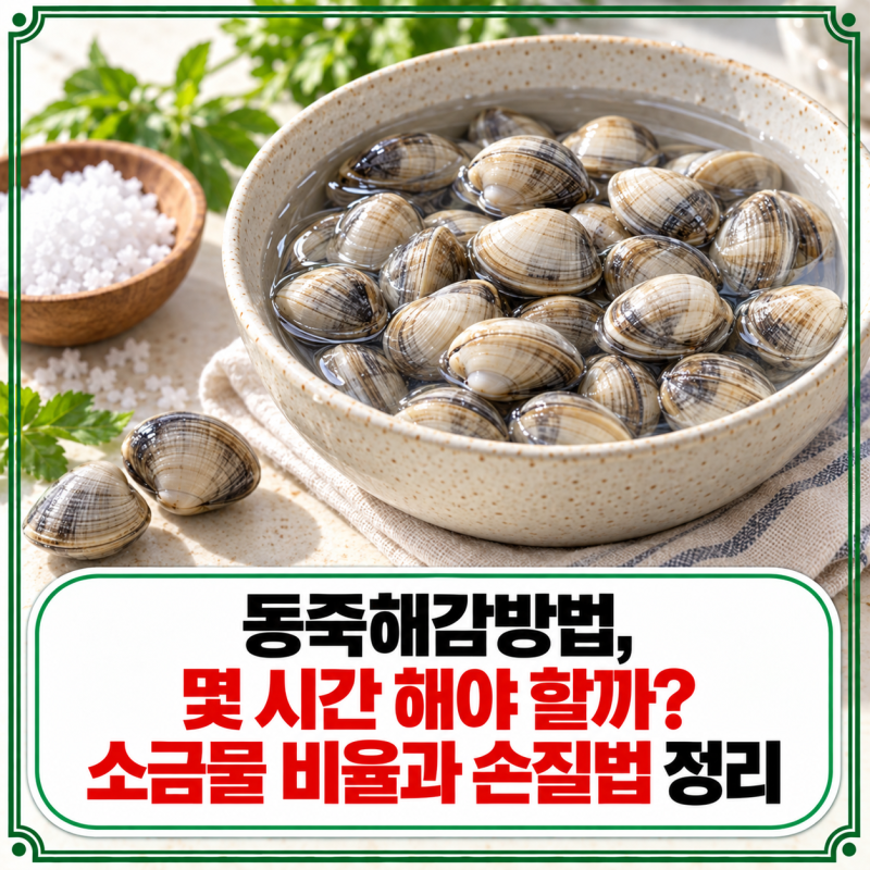 동죽해감방법, 몇 시간 해야 할까? 소금물 비율과 손질법 정리