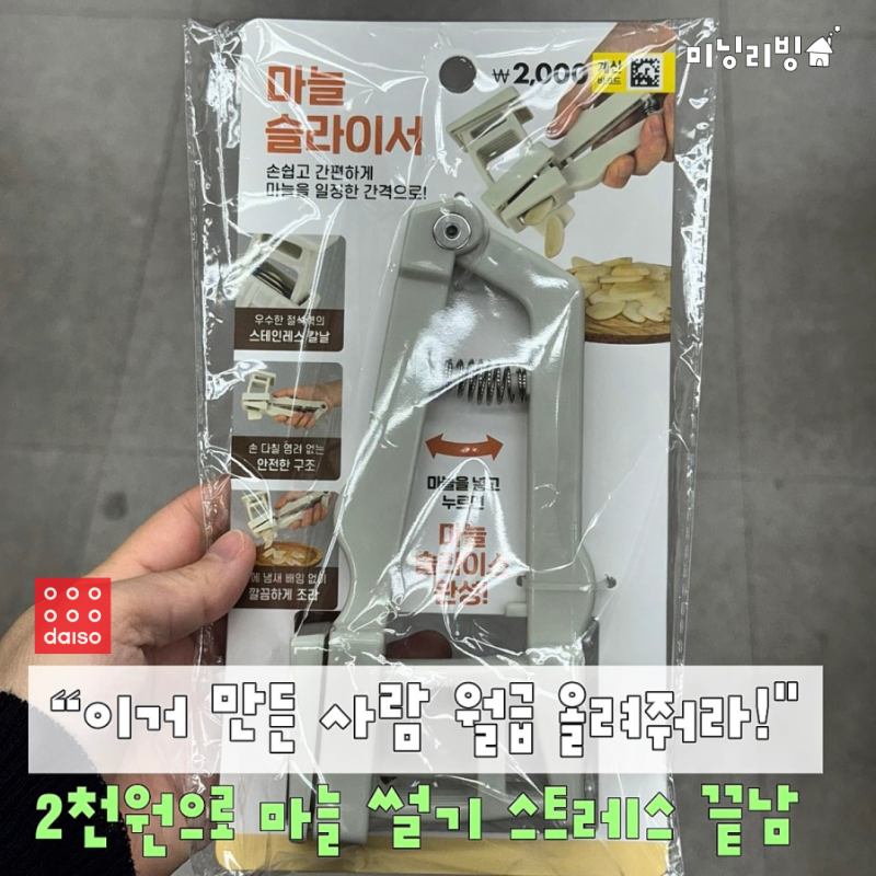 "이거 만든 사람 상 줘라!" 2천원인데 마늘 썰기 스트레스 끝내주는 다이소꿀템
