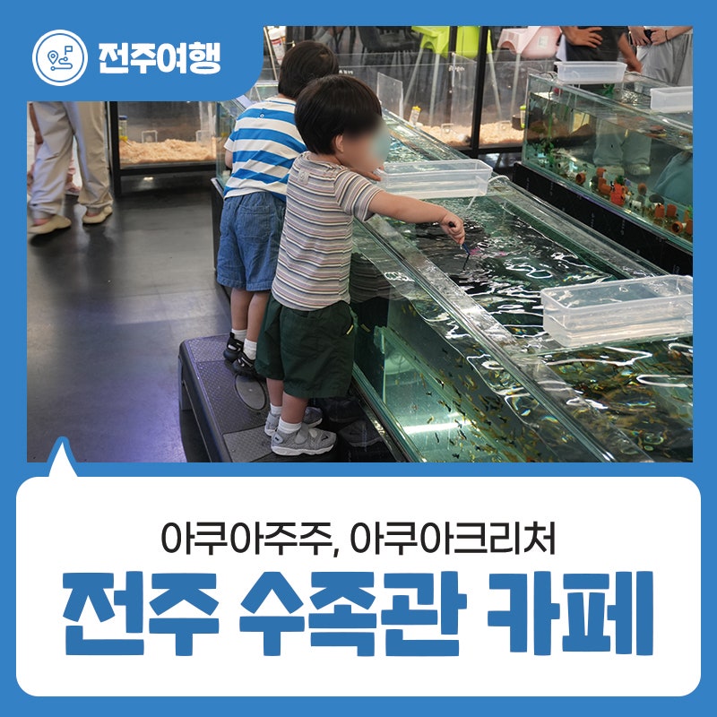 전주 실내 나들이 추천 - 아이와 함께 가기 좋은 수족관 카페 - 아쿠아주주, 아쿠아크리처