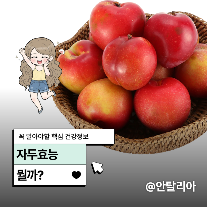자두효능 자연이 준 붉은 보약 맛있어