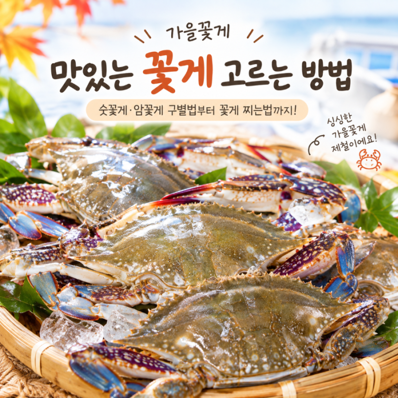 가을꽃게 맛있는 꽃게 고르는 방법｜숫꽃게 암꽃게 구별법부터 꽃게 찌는법까지