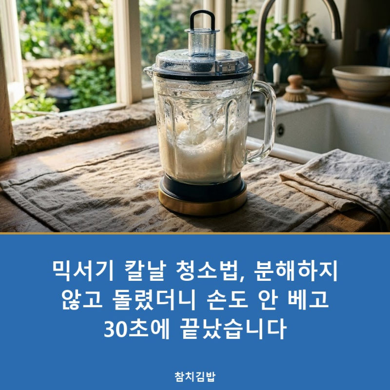 믹서기 칼날 청소법, 분해하지 않고 돌렸더니 손도 안 베고 30초에 끝났습니다