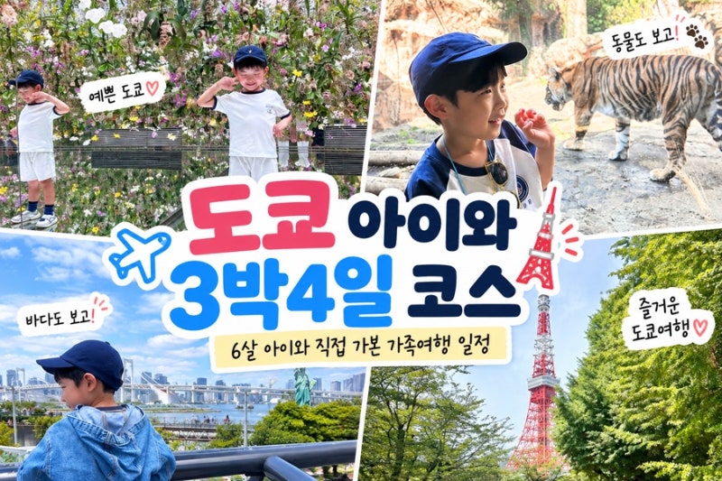 도쿄 아이와 3박4일 코스ㅣ6살 아이와 직접 가본 가족여행 일정