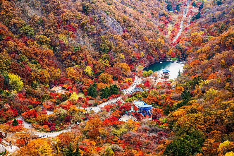단풍 늦게 가면 후회, 전국 절정 순서 한눈에