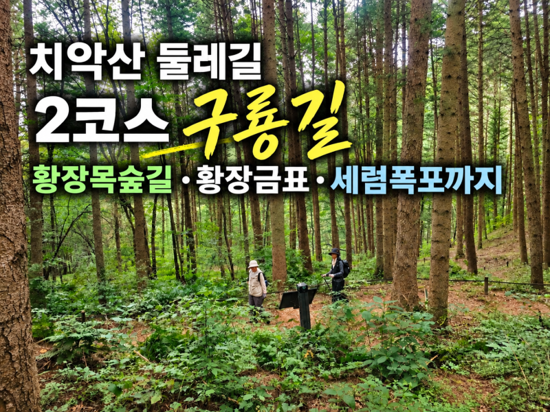[치악산둘레길] 2코스 구룡길 후기｜황장목숲길·황장금표·세렴폭포까지 실제거리 14.1km·소....