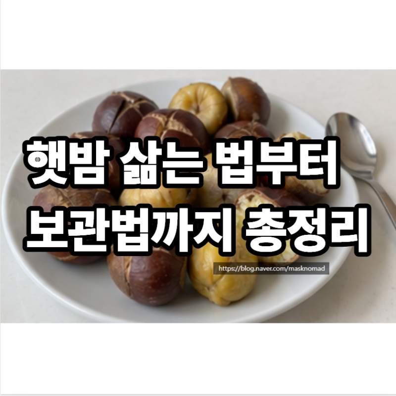 햇밤 삶는법 삶는 시간부터 생밤 보관법과 삶은 밤 보관까지