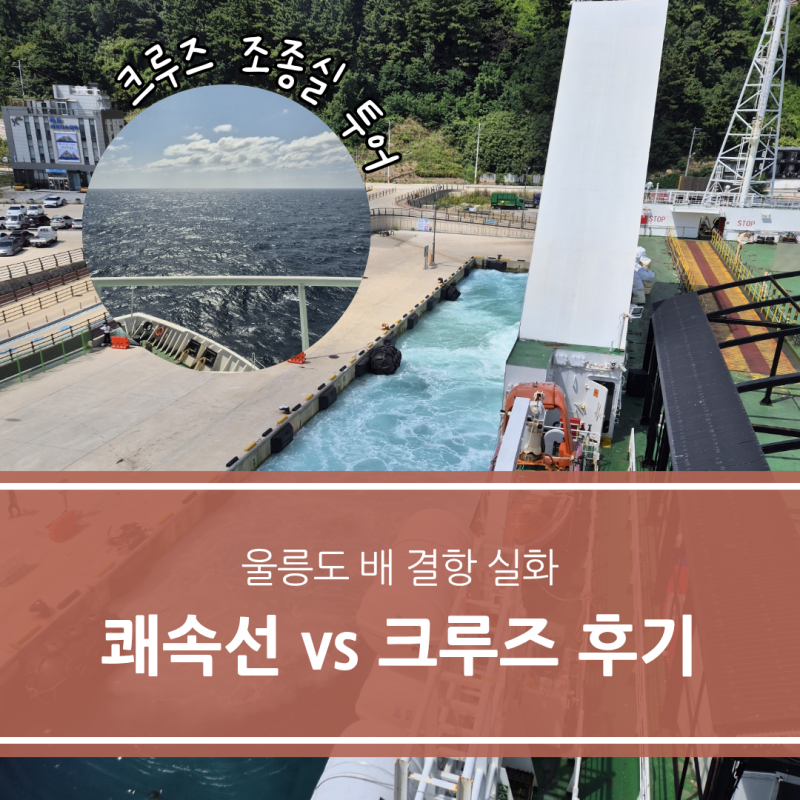 울릉도 배 결항되면? 쾌속선 vs 크루즈 후기 묵호·포항 배편 멀미·시간·요금 비교·울릉도 ....