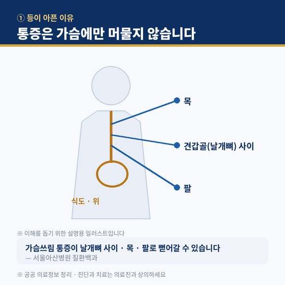 역류성 식도염 등 통증 원인 3가지, 날개뼈 사이인 줄 몰랐는데 (2026년)
