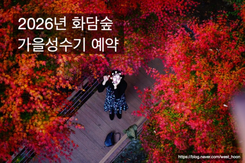 서울근교단풍 명소 화담숲 예약 완벽 가이드! 관람 코스 & 주차 팁