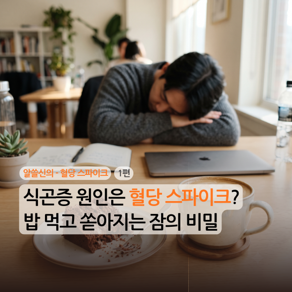 [알쓸신의][혈당][1편] 식곤증 원인은 '혈당 스파이크'? 밥 먹고 쏟아지는 잠의 비밀