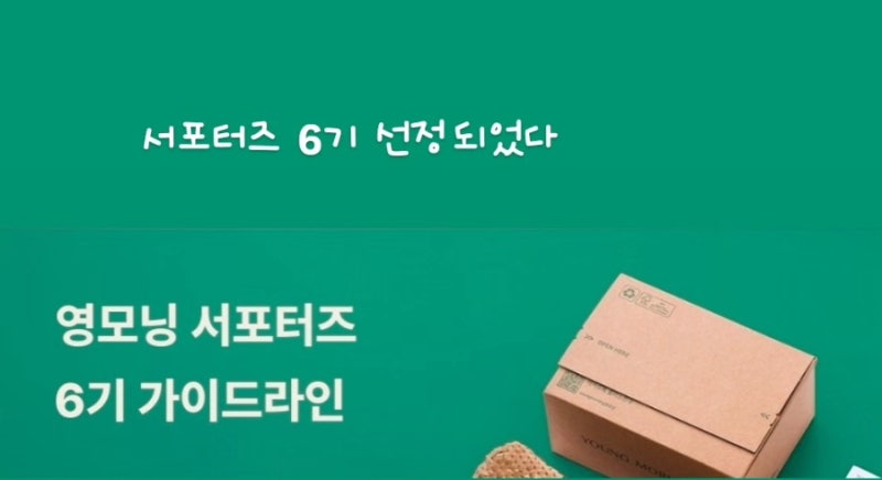 영모닝 서포터즈 6기｜리포좀 NMN 알파 25일 꾸준히 챙겨본 솔직 후기