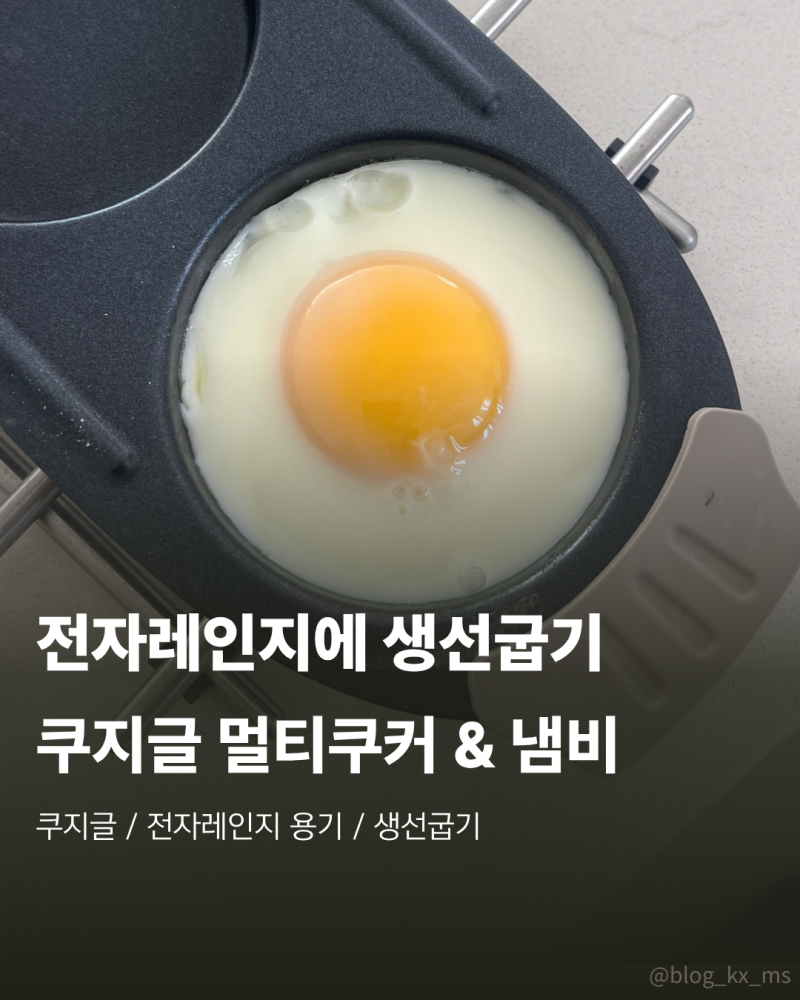 전자레인지로 생선굽기 쿠지글 내돈내산 후기 과연 냄새가 안날까?