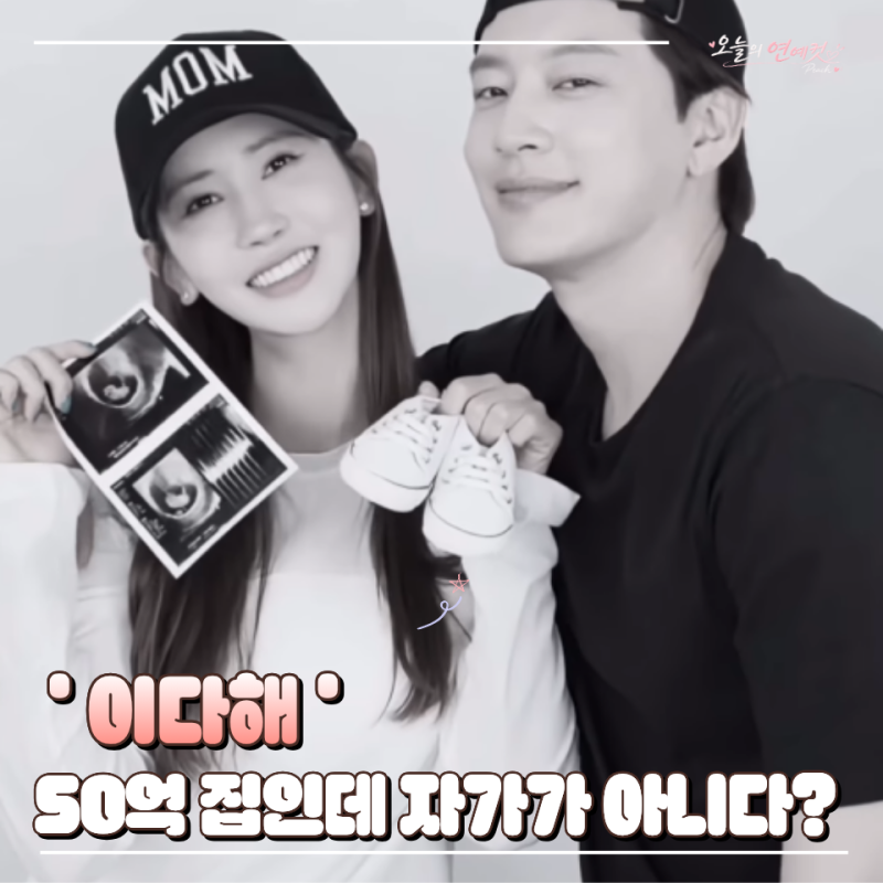 이다해 프로필 나이 결혼 세븐 임신 상하이 50억 집 근황