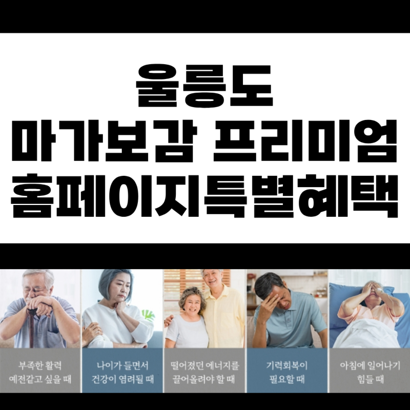 울릉도 마가보감 프리미엄 가격 효능 구입방법 후기