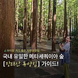 대전 장태산자연휴양림 1박 2일 코스 & 맛집 추천 - 정자나무가든 삼겹살쌈밥, 인터뷰 카페