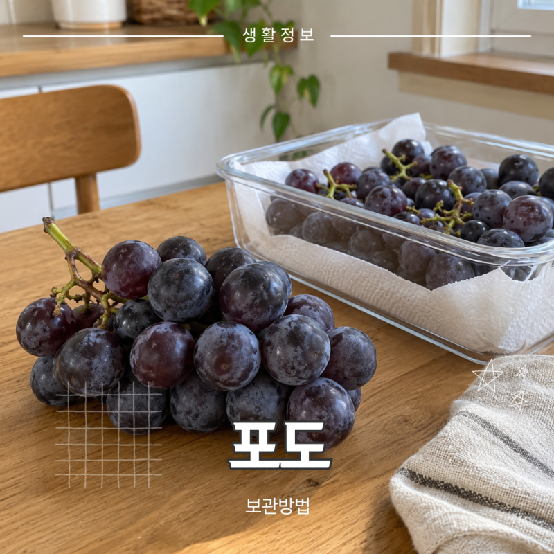포도 보관법, 씻어서 넣을까 송이째 냉장할까