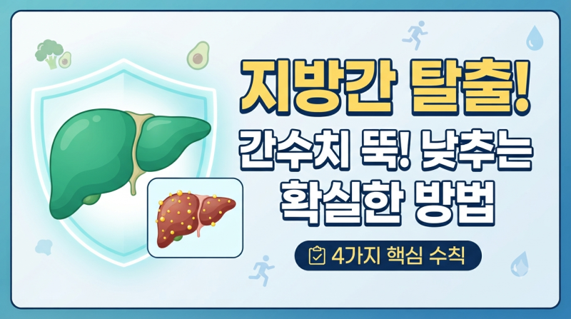 [건강정보] 침묵의 장기, 지방간 완화하기! 간수치 낮추는 확실한 방법 4가지