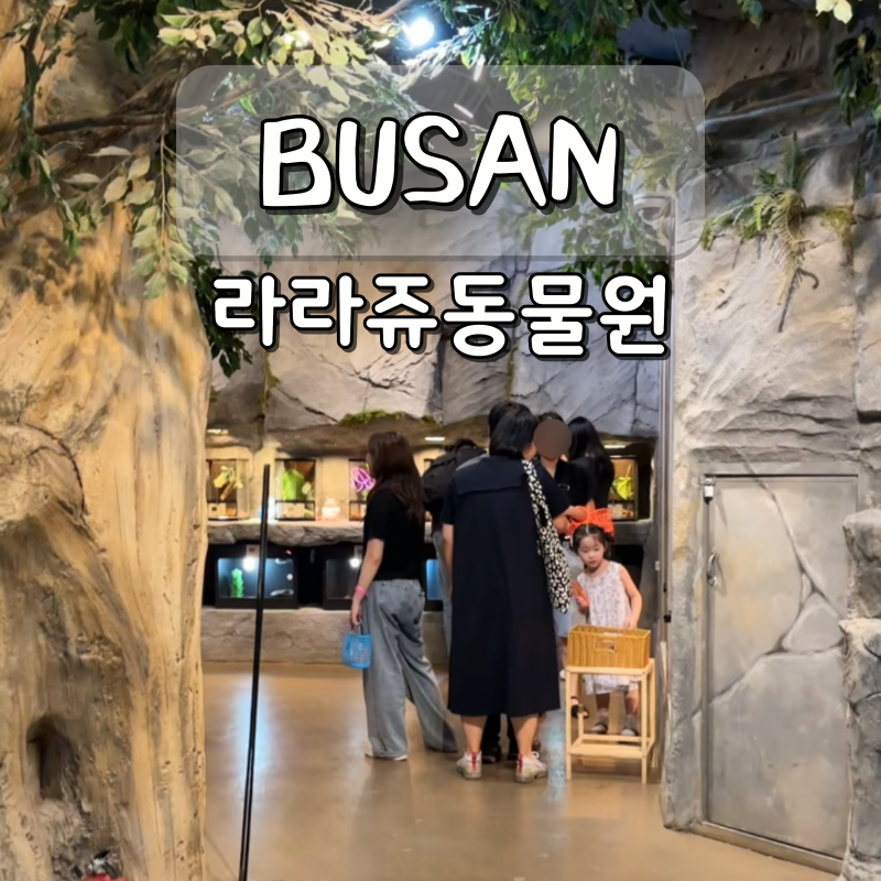 부산 가볼만한곳 놀거리 실내 동물원 라라쥬동물원 데이트 장소