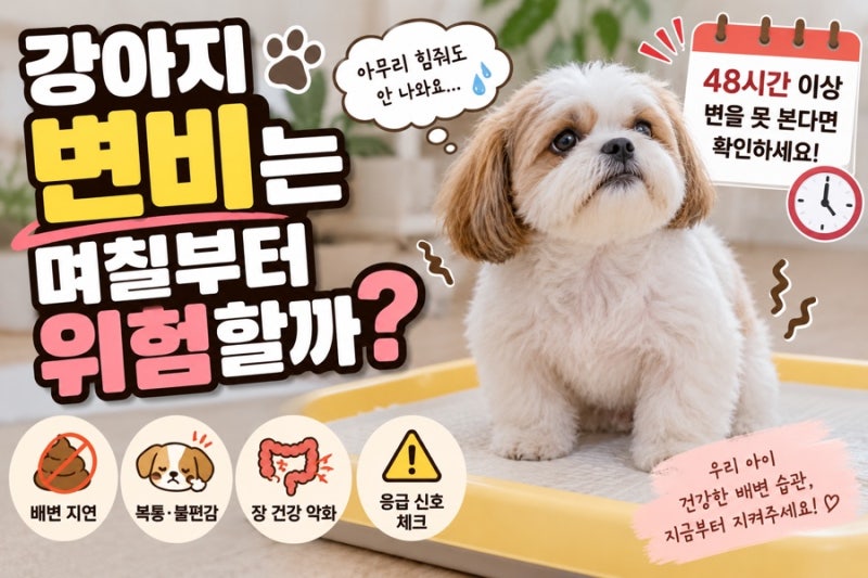 강아지 변비는 며칠부터 위험할까?｜48시간 이상 변을 못 본다면 확인하세요 [서이추환영]
