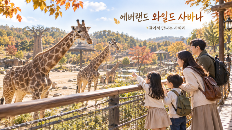 에버랜드 와일드 사바나, 걸어서 기린을 만난다? 입장방법·관람코스·얼리파크인 정리