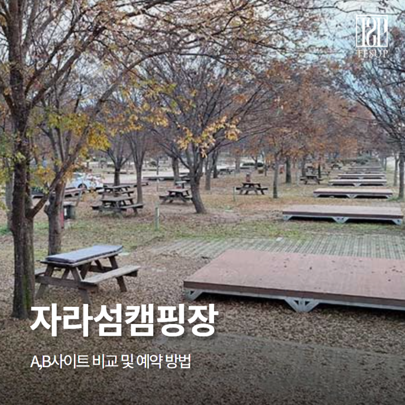 가평 자라섬캠핑장 A,B사이트 비교 및 예약 방법 총정리