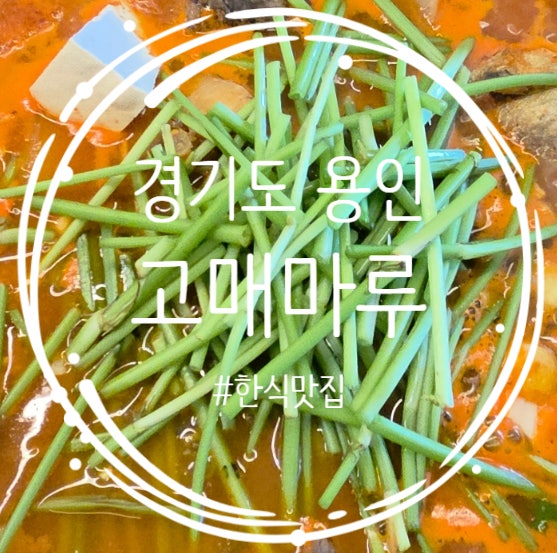 기흥롯데아울렛맛집 기흥롯데아울렛식당 기흥이케아맛집 고매마루