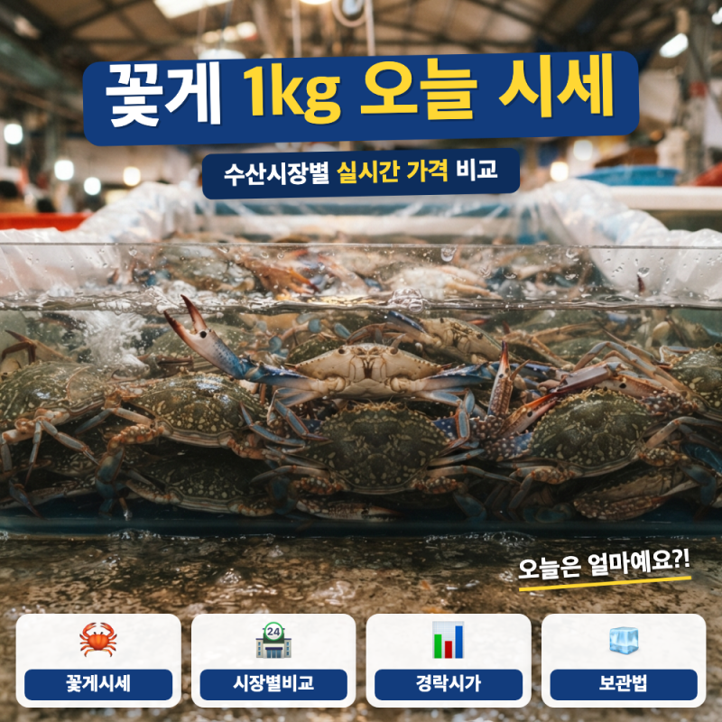 꽃게 시세 1kg 오늘 가격 확인 방법은? (+ 노량진 경락시세, 소래포구 가격)