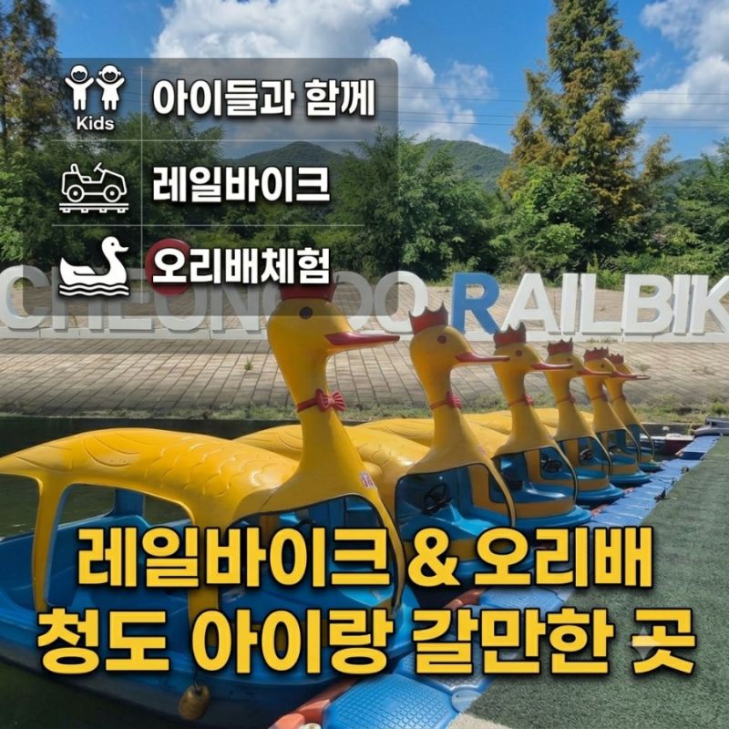 대구 근교 청도 아이와 가볼 만한 곳, 레일바이크 타고 전동 오리배까지 풀코스 솔직 후기