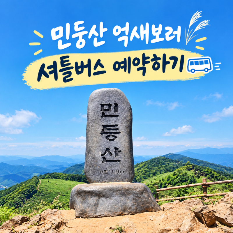 경기도에서 강원도 정선 민둥산 가는 법, 당일치기 셔틀버스타고 9월 억새보고 거북이쉼터까....