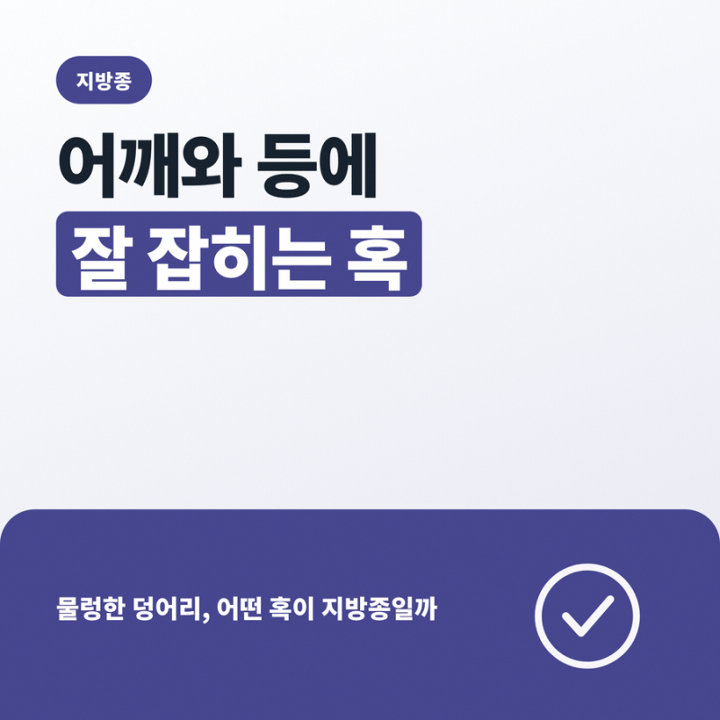 지방종 어깨와 등에 잘 잡히는 혹 증상