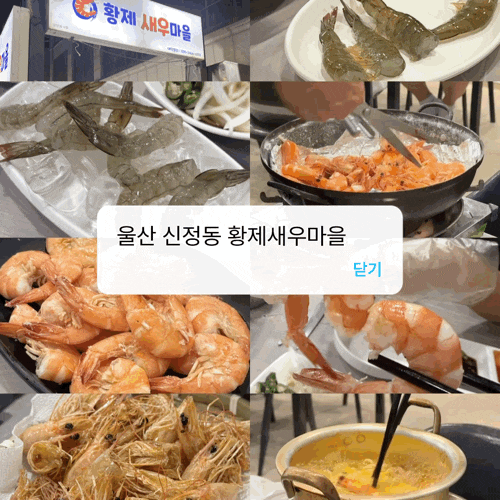 울산 생새우회와 소금구이 황제새우마을, 신명오도리마을과 비교!