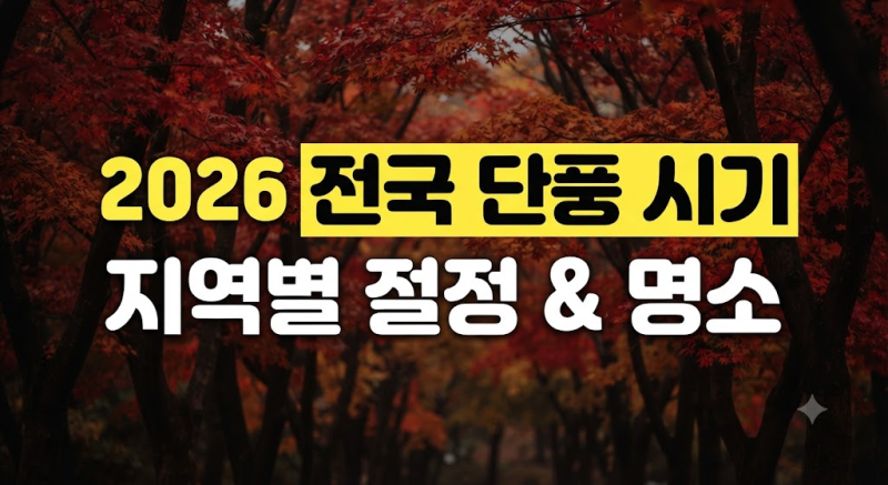 2026 전국 단풍 시기 및 지역별 절정 예상 시기 및 단풍명소 총정리