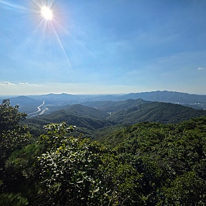 서울 청계산 청계사 이수봉 국사봉 등산 코스