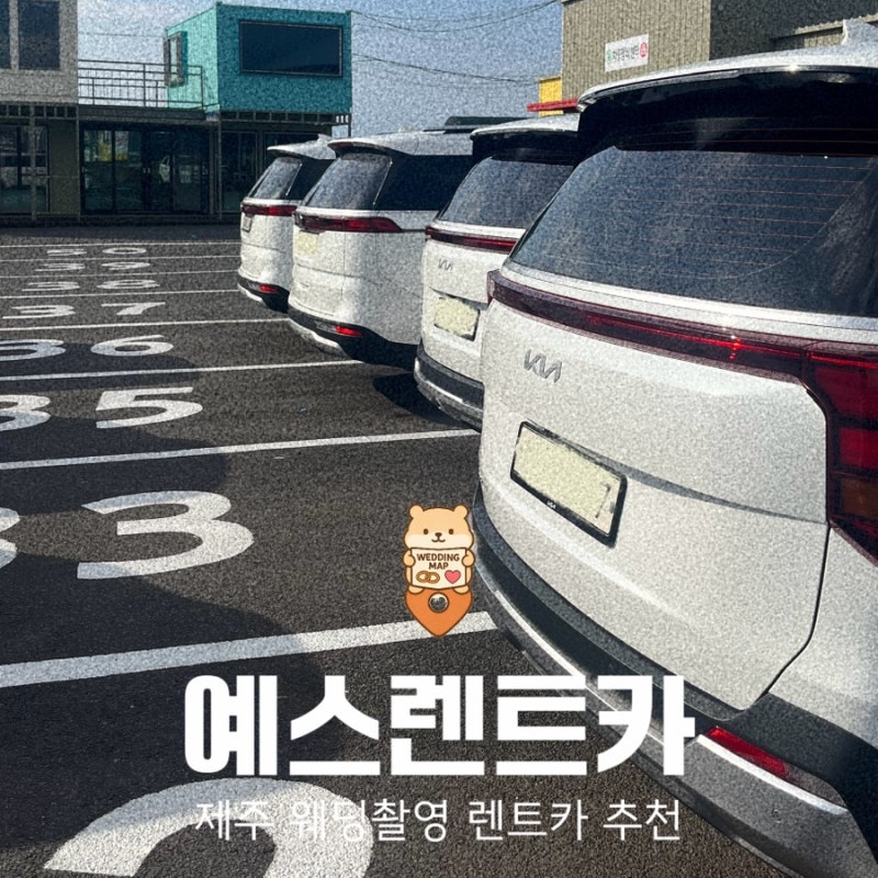 제주 가성비 렌트카 예스렌트카 카니발 웨딩촬영 후기