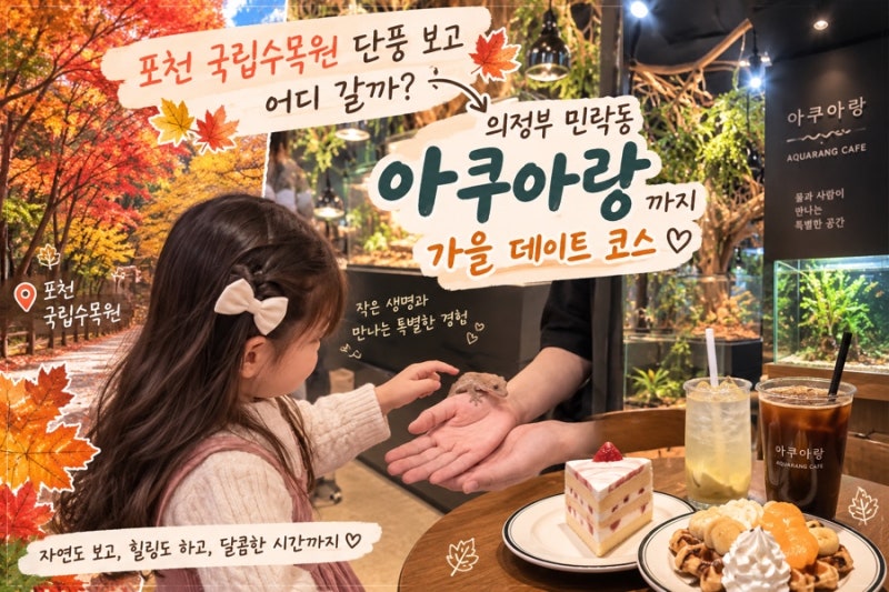 [서울 근교 나들이] 포천 국립수목원 단풍 보고 어디 갈까?｜의정부 민락동 아쿠아랑까지 가....