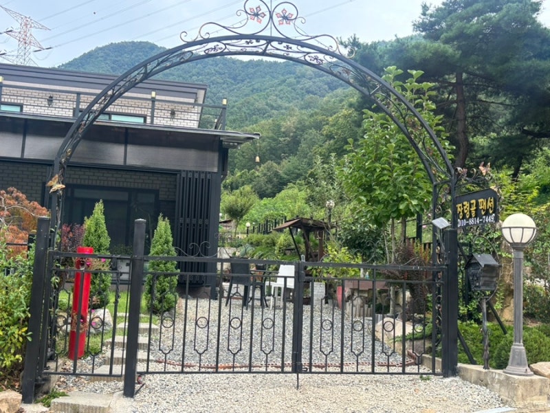 대전 근교 애견동반 단체 펜션 옥천 장령골펜션 후기
