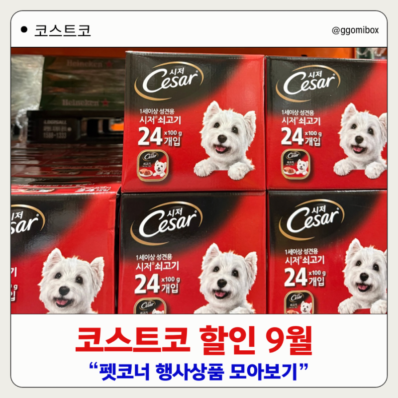 강아지 키우는 분들 주목! 코스트코 할인 9월 반려동물용품 행사상품