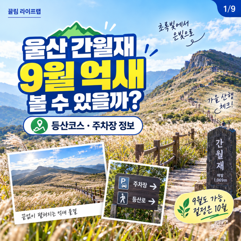울산 간월재 9월 억새 볼 수 있을까? 등산코스와 주차장 정보