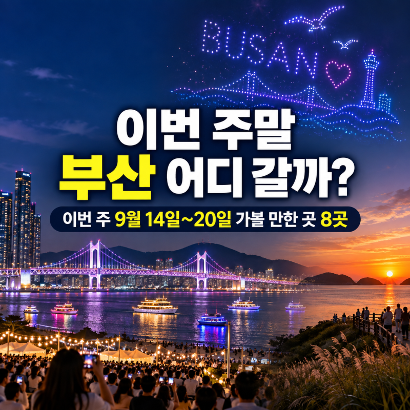 2026 부산 9월 축제·행사 총정리｜이번 주 9월 14일~20일 가볼 만한 곳 8곳