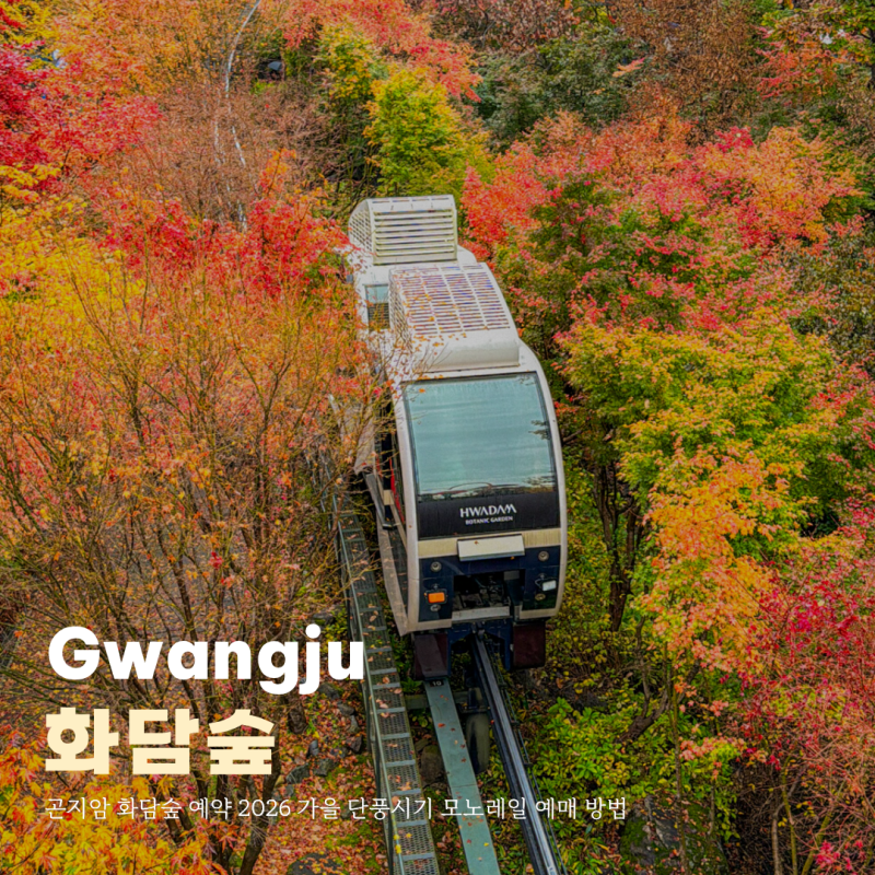 곤지암 화담숲 예약 2026 가을 단풍시기 모노레일 예매 방법