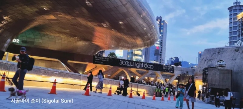 동대문 가볼 만한 곳 | 서울라이트 DDP 2026 가을 빛 축제 후기 ✨ 흥인지문과 한양도성 산책코....