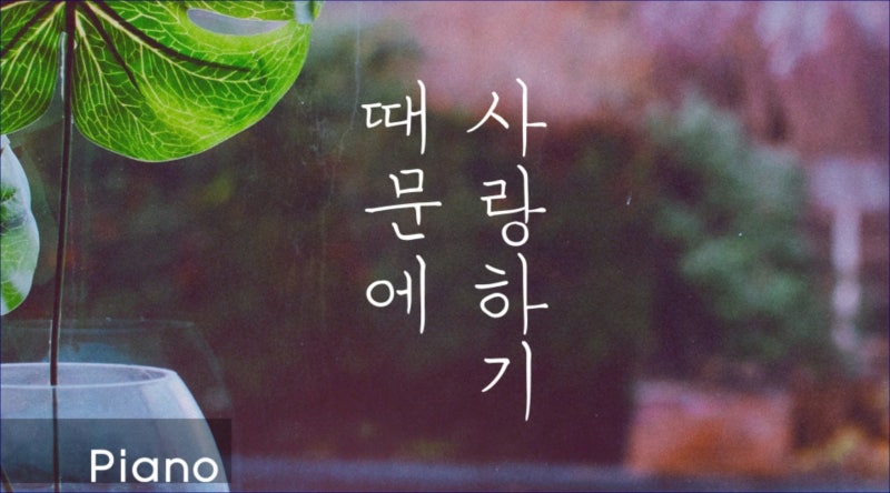 "유재하" 별을 남기고 별이된 그~