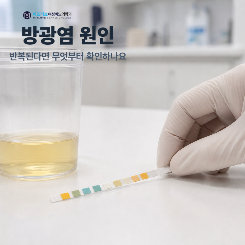 여자 방광염 원인, 반복된다면 무엇부터 확인하나요