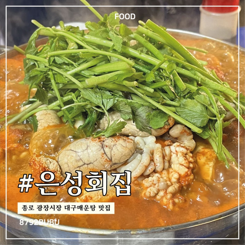 [서울 종로] 광장시장 맛집 | 회는 없지만 대구매운탕으로 유명한 은성횟집