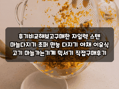 후기비교해보고구매한 자일렉 스텐 마늘다지기 초퍼 만능 다지기 야채 이유식 고기 마늘가....